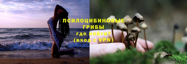 стафф Балахна