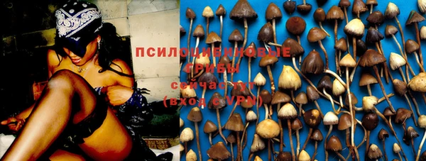 стафф Балахна
