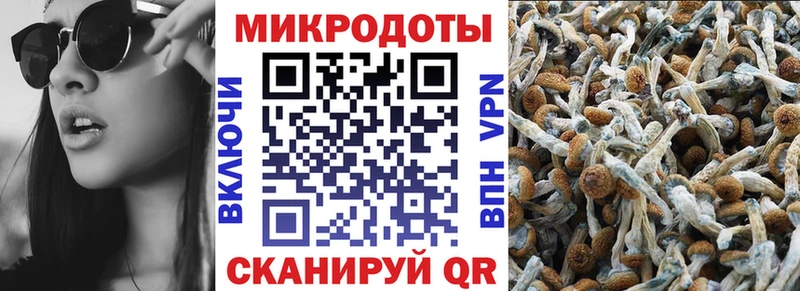 Псилоцибиновые грибы мицелий  закладка  blacksprut как войти  Вольск 