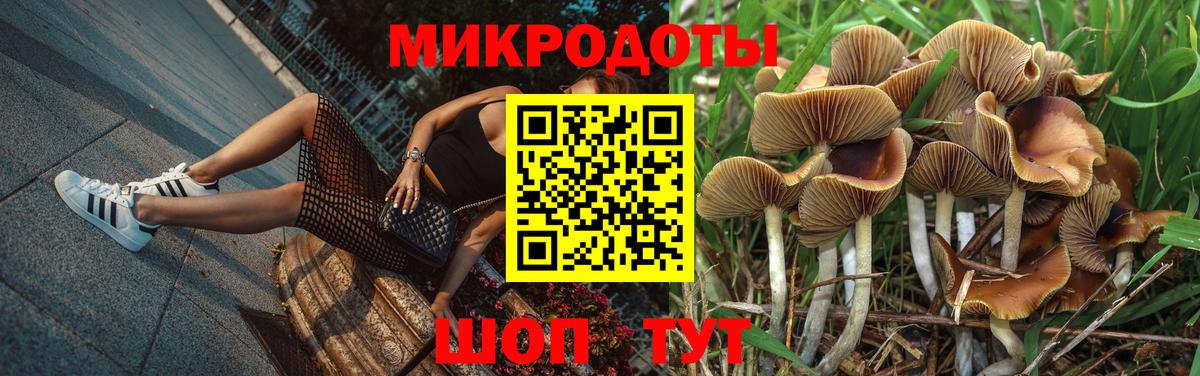 Галлюциногенные грибы Psilocybe  Вход с VPN  Вольск  Галлюциногенные грибы Psilocybine cubensis 